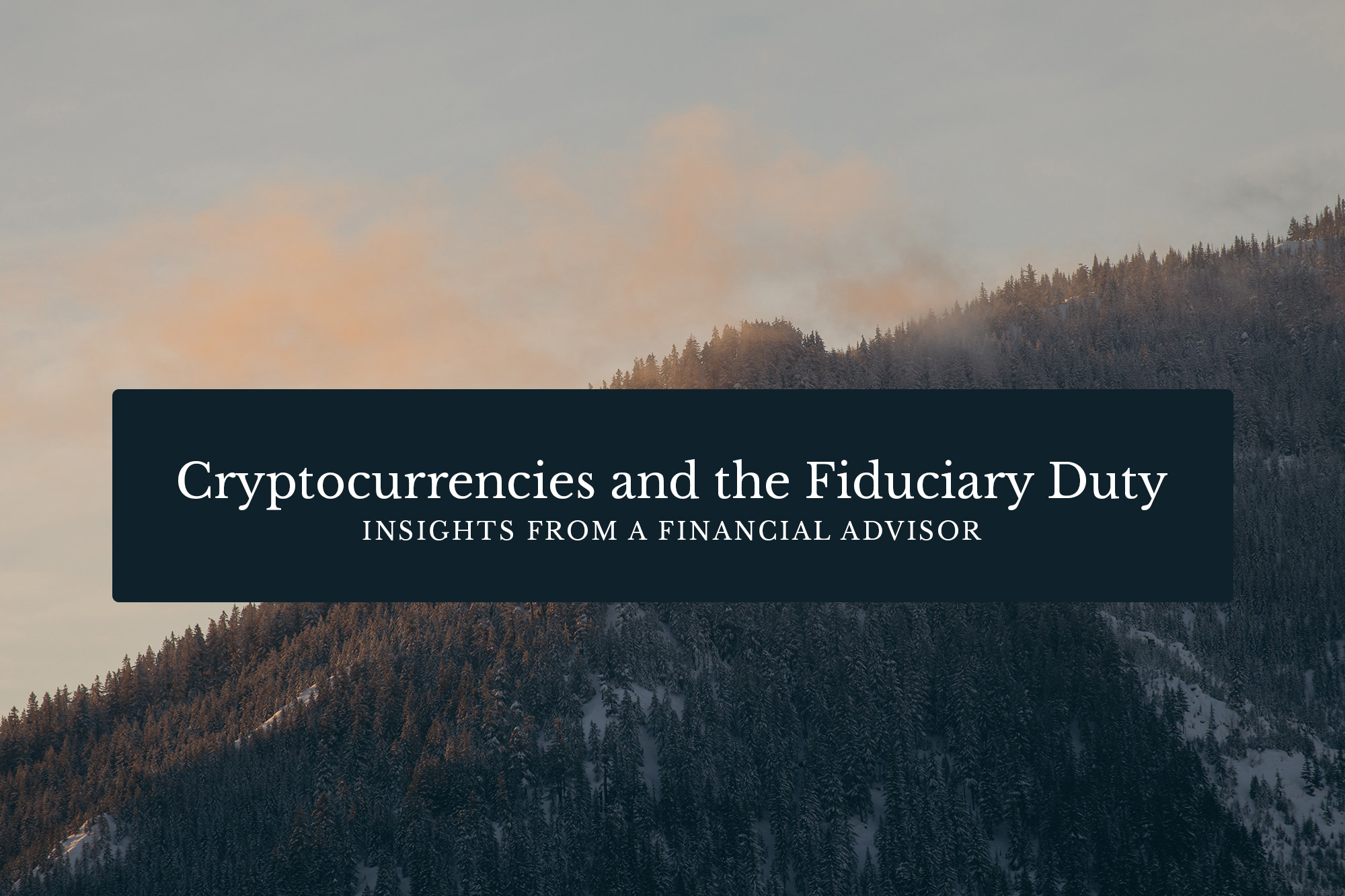 Cryptocurrencies And The Fiduciary Duty: Insights From A Financial ...